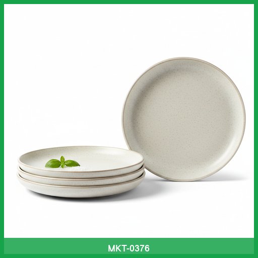 Set of 4 Ceramic Dinner Plates