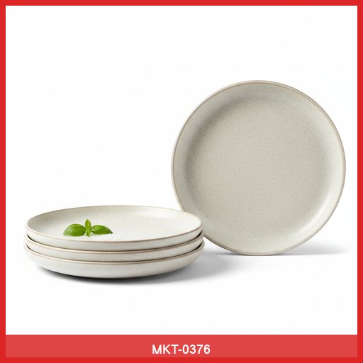 Set of 4 Ceramic Dinner Plates