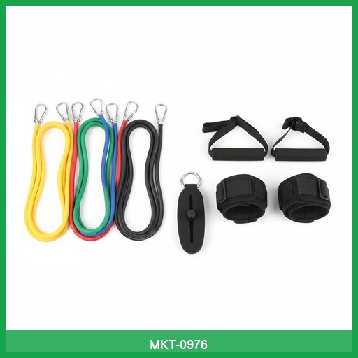 Resistance Band Set with Door Anchor