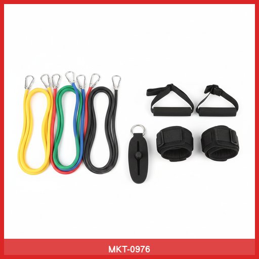 Resistance Band Set with Door Anchor