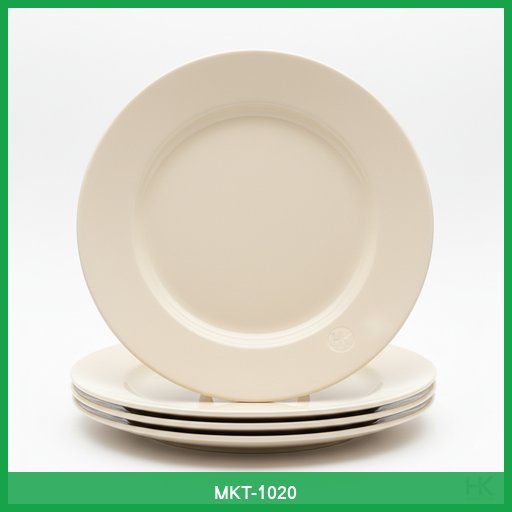 Set of 4 Ceramic Dinner Plates