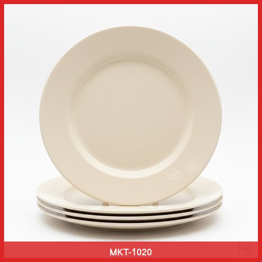 Set of 4 Ceramic Dinner Plates
