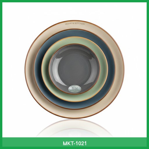 Set of 4 Ceramic Dinner Plates