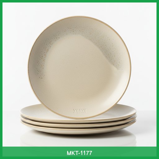 Set of 4 Ceramic Dinner Plates