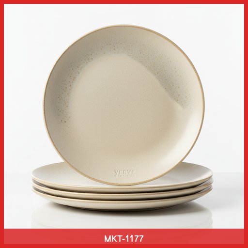 Set of 4 Ceramic Dinner Plates