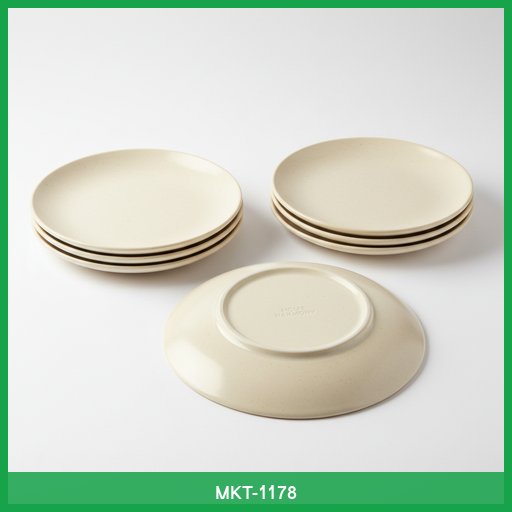 Set of 4 Ceramic Dinner Plates