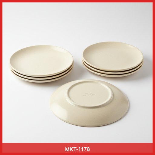 Set of 4 Ceramic Dinner Plates